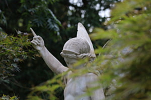 Engel