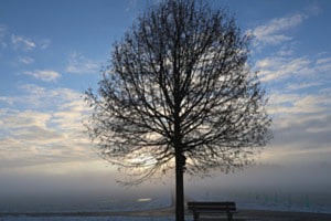 Sonne- Nebelspiel