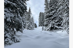 Schneeweiss