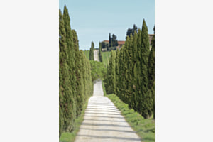 Zypressenallee