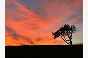 Burning Sky