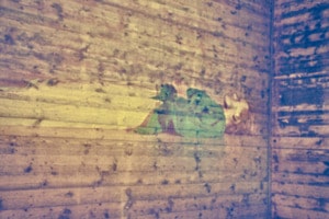 liegend
