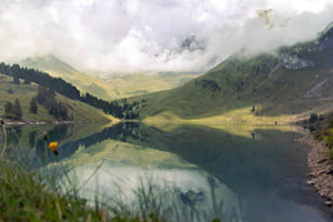 Spiegelung 