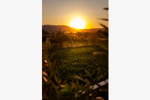 Sonnenuntergang 
