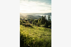 Frühling 
