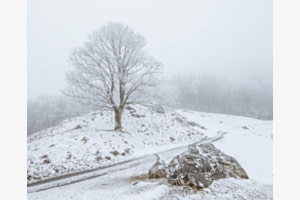 frostige Wanderung