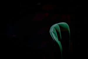 Sessel