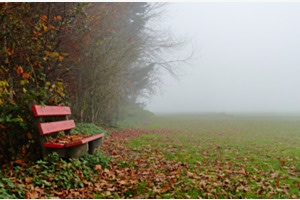 Ruhe im Nebel