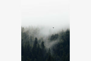 Die Ruhe