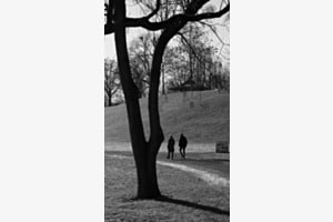 Spaziergang im Park Spaziergang im Park
