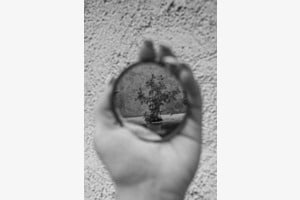 illusion 