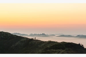 Sonnenaufgang mit Reh