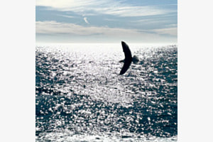 Baie des Anges Baie des Anges