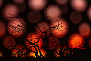 Sonnenuntergang fotografiert durch das Lochblech unseres Balkongeländers 2019
