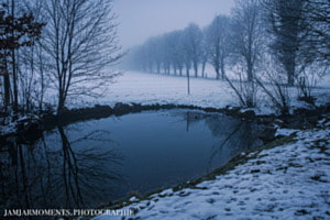 Spiegelung im Teich