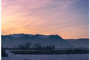 Wintermagic Wintermagic