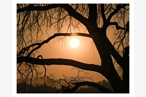 Silhouette bei Sonnenuntergang 