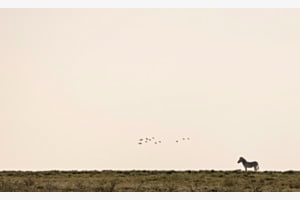 In Namibia In Namibia