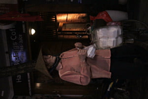 Les dernières emplettes, Hanoi Vietnam