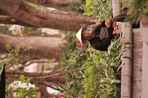 Hanoi, fin de matinée. La fumée remonte mais la mémoire ne s'éteins pas.