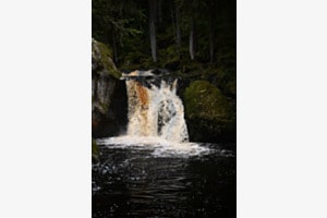 Wasserrauschen 