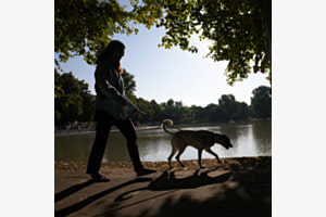Hundeausgang Hundeausgang