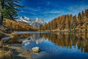 Laj da Palpuogna - Goldener Herbst