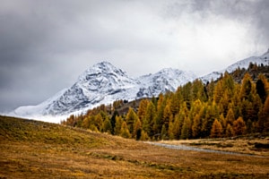 Im Engadin