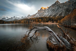 Silsersee im Morgengrauen