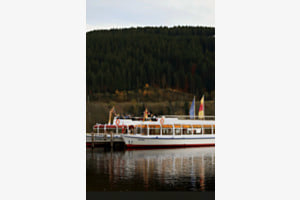 Black Forest in autumn 