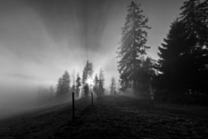 Herbsttag