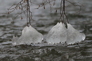 Eiskünstler