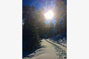Schneeschuhwandern