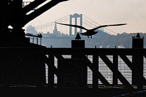 Rheinbrücke in Köln