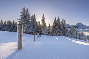 Winterlicher Sonnenaufgang