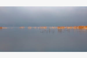 Am Murtensee