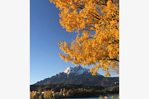 Goldener Herbst