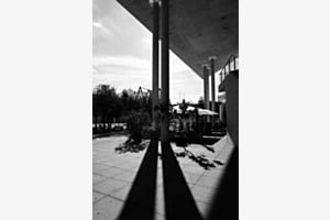 Im Gegenlicht