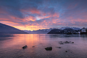 Spiez