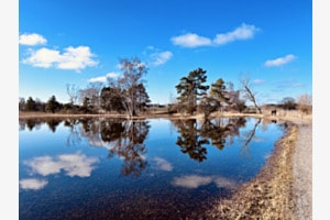 …spiegelglatt am Pfäffikersee
