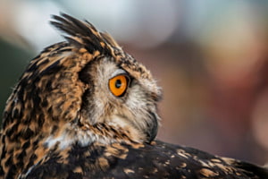 Der Blick zurück