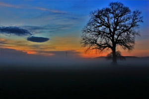 Abendstimmung mit Bodennebel