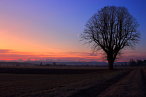 Morgenstimmung
