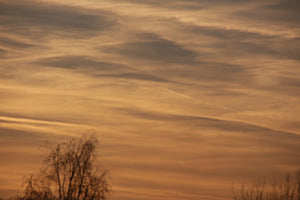 Sonnenuntergang mit einem Baum