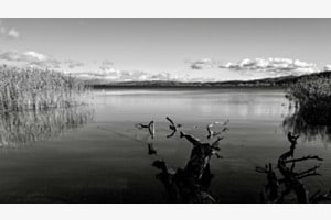 Lac de Bienne 