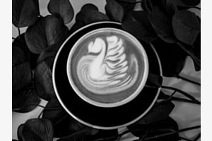 Mein tägliches Kaffeegetränk