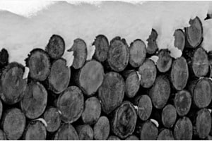 BAUM-RINGE