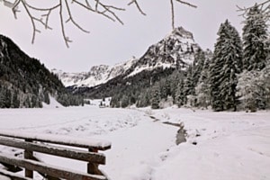 WINTER-IDYLLE