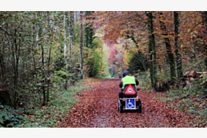 Behindert im Wald