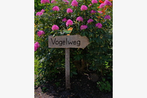 Vogelweg